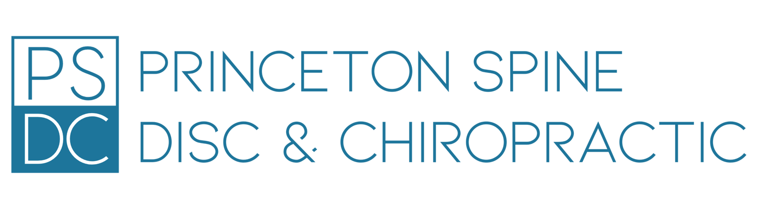 Logo for Princeton Spine Disc & Chiropractic. It features a square graphic with 'PS' in blue outline and 'DC' in white on a blue background, next to the words 'PRINCETON SPINE DISC & CHIROPRACTIC' in blue text.